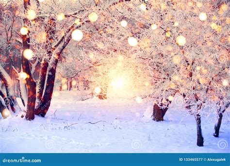 Winter Forest With Colorful Snowflakes. Snow Covered Trees With ...