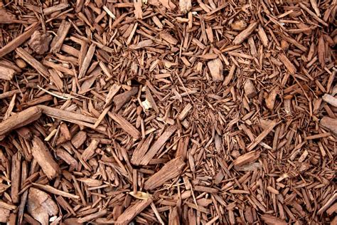 Wood Chips Make the Best Organic Mulch ⋆ Big Blog Of Gardening