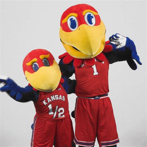 Basketball Hello GIF by University of Kansas - Find & Share on GIPHY