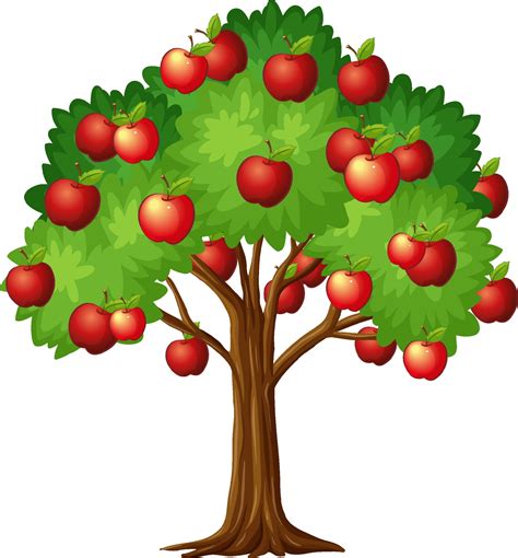 Apple Tree Drawing Vector Apple Tree Vector Illustration Apple Tree ...