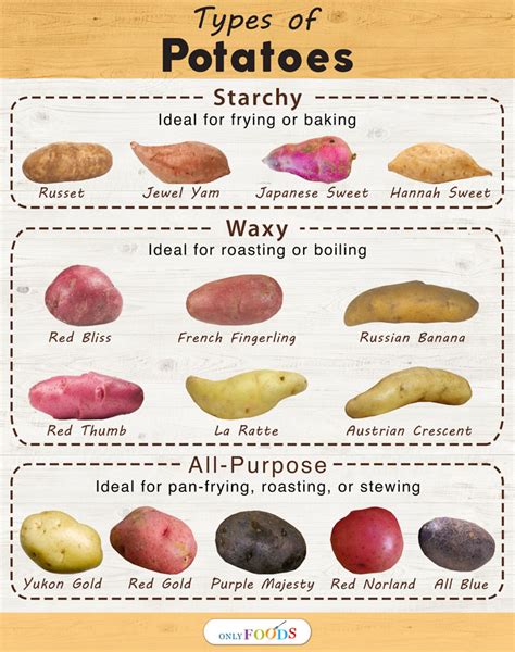 15 Different Types of Potatoes with Pictures