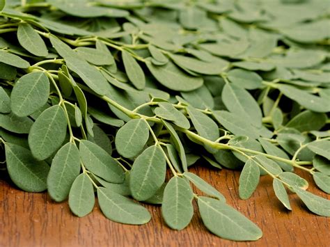 Moringa Recipes: How to Eat Moringa Leaves and Powder