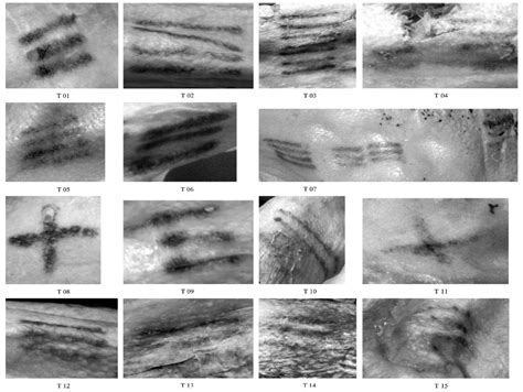 Scientists Have Mapped All of Ötzi the Iceman's 61 Tattoos | Discover ...