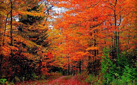 Vermont Fall Foliage Wallpapers - Top Free Vermont Fall Foliage ...