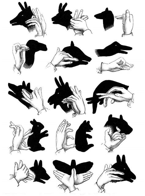 How To Make Hand Shadow Puppets