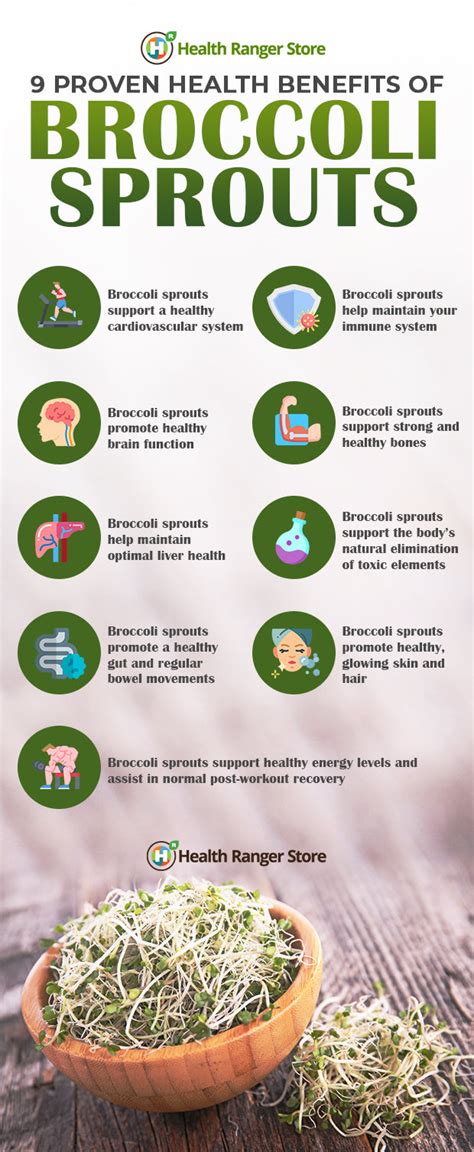 9 Health benefits of broccoli sprouts (plus tips on how to grow them a ...