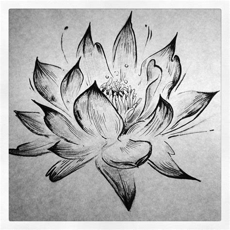 One O Nine: Photo | White lotus tattoo, Lotus tattoo, Beautiful tattoos