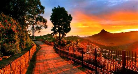 Kodaikanal Hills Tour | Kodaikanal Hill Station Holidays Package