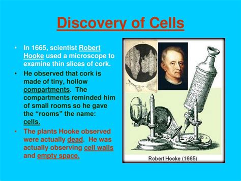 Robert Hooke Used the Name Cells to Describe Their