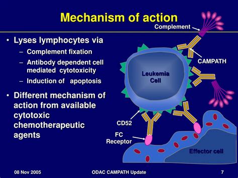 Alemtuzumab Mechanism Of Action