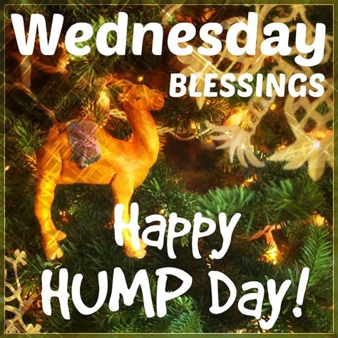 Wednesday Blessings Happy Hump Day Pictures, Photos, and Images for ...