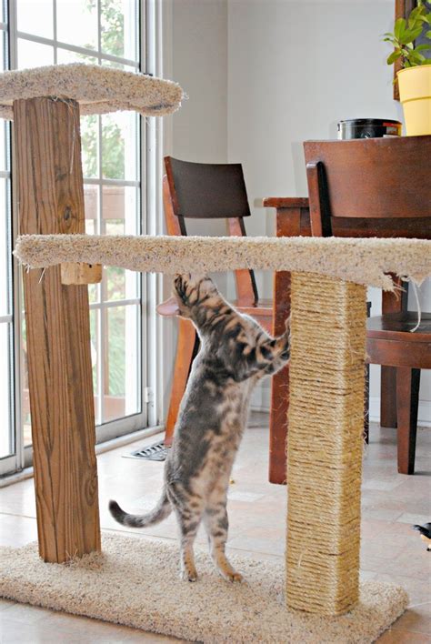 Diy Cat Scratcher Post - 25 Easy DIY Cat Scratching Post Ideas ...