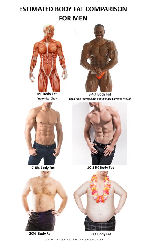 Body Fat Percentage Comparisons For Men & Women Body Fat Percentage ...