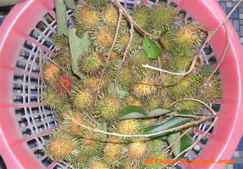 It's My Life: IT'S RAMBUTAN SEASON