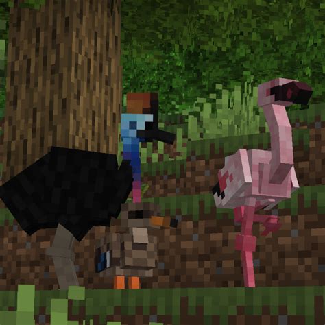 Download Arzher's Exotic Birds - Minecraft Mods & Modpacks - CurseForge