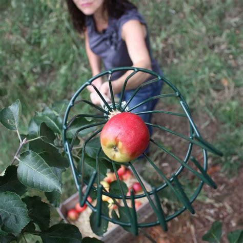 Harvesting & Food Storage - Harrod Horticultural