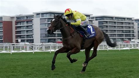 John Francome Novices' Chase: Hermes Allen powers clear to win Newbury ...