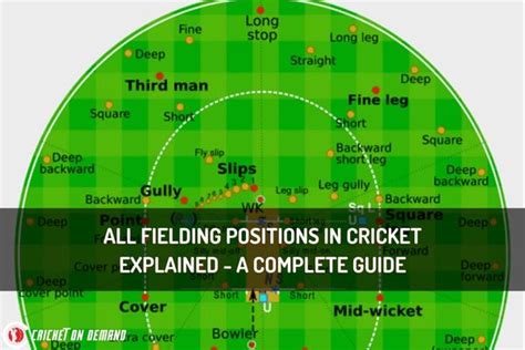 All fielding positions in cricket explained - a complete guide