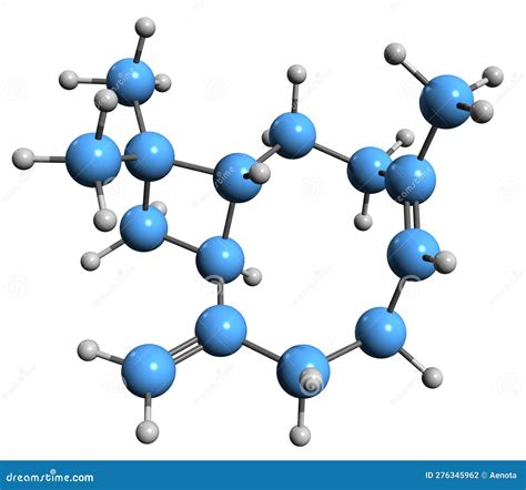 Caryophyllene Molecular Structure, 3d Model Molecule, Bicyclic ...