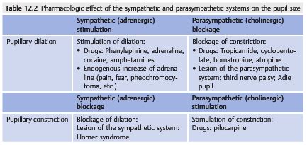 Neuro-ophthalmology Illustrated Chapter 12 – The Pupil 1 — Neuro ...