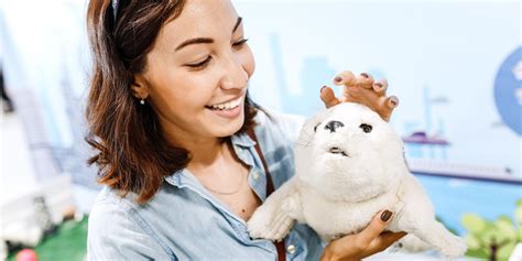 Robot Pets Make Good Companions for Seniors - Blog Articles and Videos ...