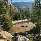 Emigrant Wilderness Loop Trail - California | AllTrails