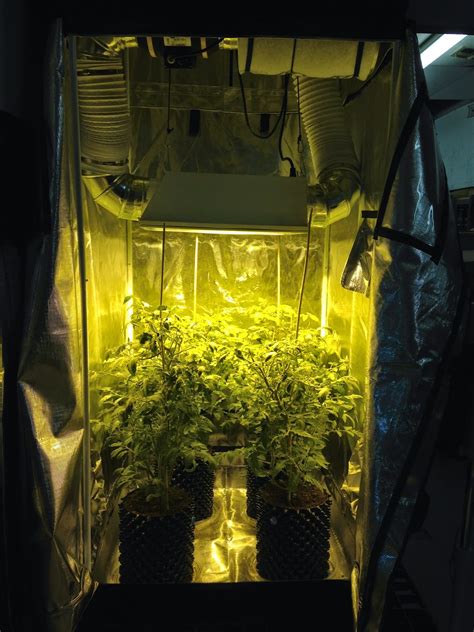 The Grow Room: Special: Premium 3'x3' Grow Tent Set-Up