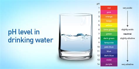 pH level in drinking water- Why do you need to concerned? - Mary Pelchat