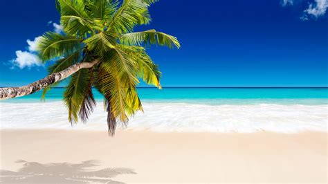 🔥 [59+] Tropical Beach Wallpapers | WallpaperSafari