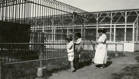 The Sequoia Park Zoo — Humboldt County Historical Society