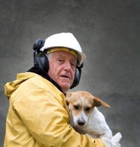 Disaster Preparedness for Pets | Schertz Animal Hospital Blog