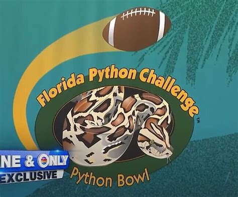 Florida Python Challenge | Is the Florida Python Challenge Unethical?