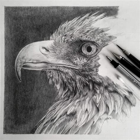 Simply Creative: Hyper-Realistic Graphite Drawings By Monica Lee