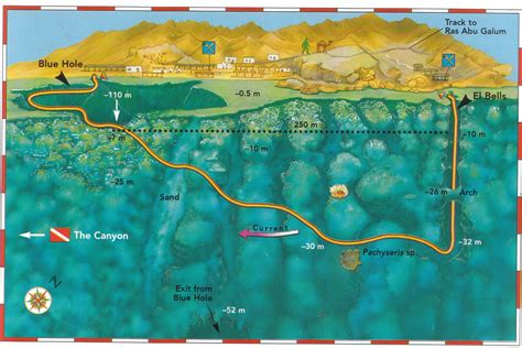 Blue Hole | Diving Medicine School