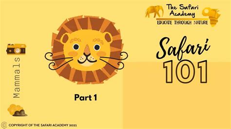 Safari 101 for Kids | Learn about Animals | Educational video for kids ...