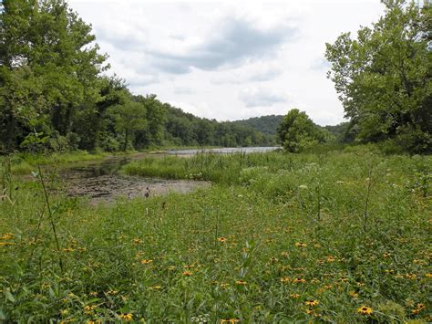 Mark Twain National Forest Hiking Trails: 7 Scenic Ozark Adventures