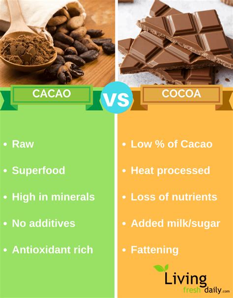 Raw Cacao Benefits | 5 Reasons You Need To Be Eating This Superfood ...