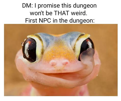 Make more lizard memes! : r/dndmemes