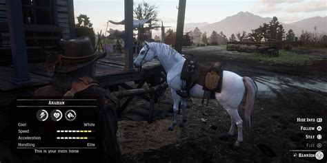 How To Find And Tame The White Arabian Horse In RDR 2