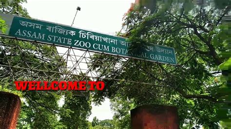 Assam state zoo || Guwahati Zoo || Technical Idea - YouTube