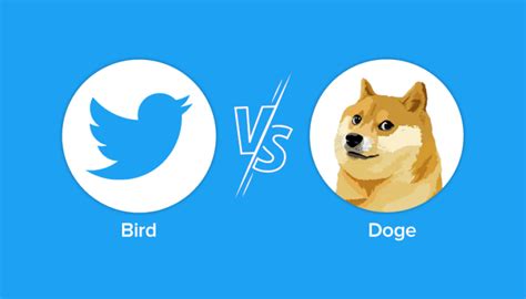 Bird vs Doge: The Story Behind Twitter's Controversial Logo Change