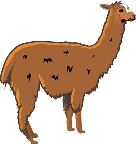 Free Cartoon Llama - ClipArt Best