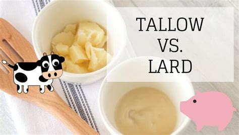 Tallow Vs. Lard: They Are NOT the Same! Differences to Know