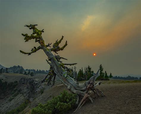 Save Earth From Air Pollution Photograph by Judy Tseng - Fine Art America