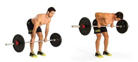 12 Barbell Row Variations to Train Different Back Muscles | Legion