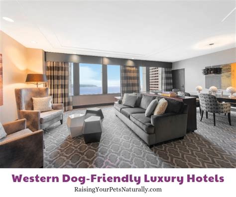 The Top Pet-Friendly Luxury Hotels, Resorts and Accommodations on the ...