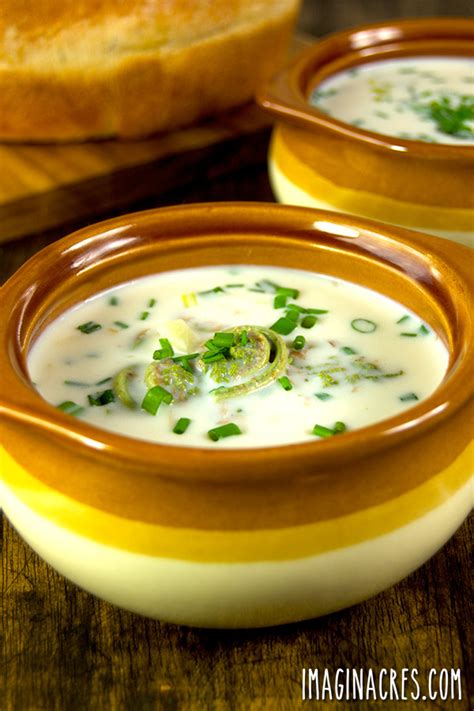 Creamy Fiddlehead Soup with Chives - ImaginAcres