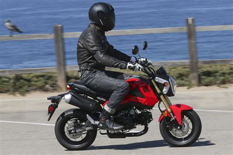 2014 Honda Grom Motorcycle Review