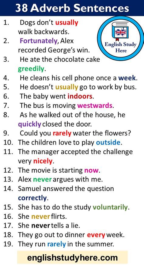 38 Adverb Sentences, Example Sentences with Adverbs in English ...