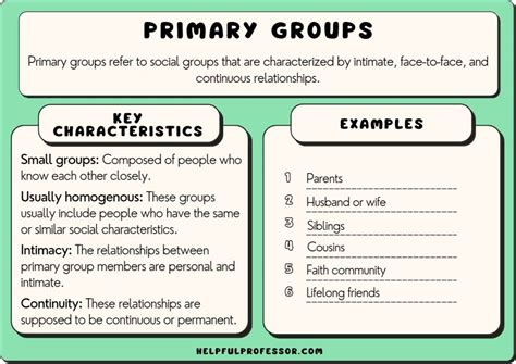 Primary Groups in Sociology (Definition & 10 Examples) (2024)